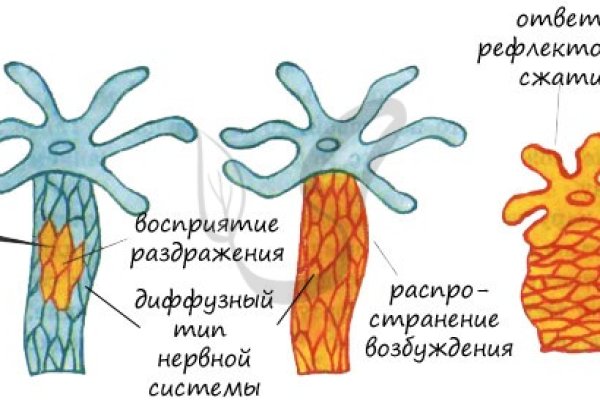 Кракен дарк ссылка